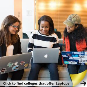 3 girls working on their laptops